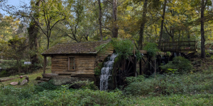 reed springs mill cover photo