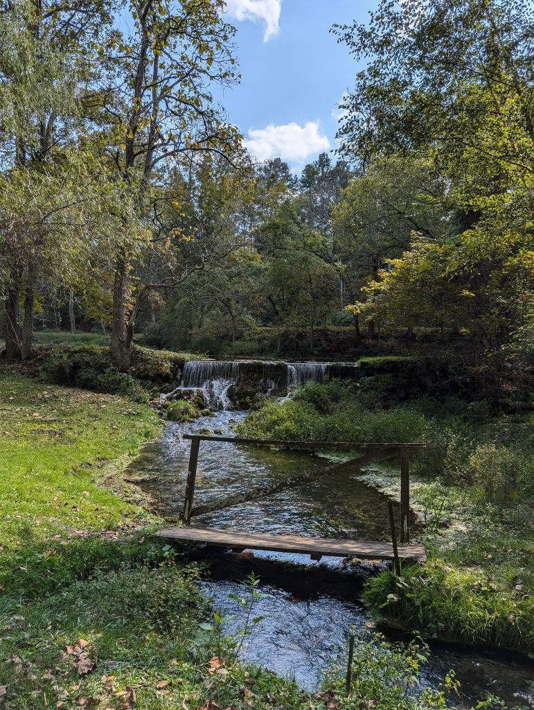 reeds spring mill