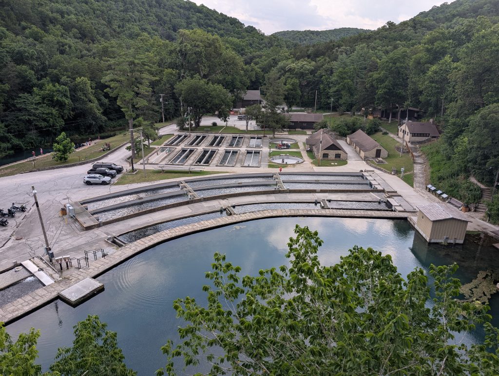 roaring river hatchery